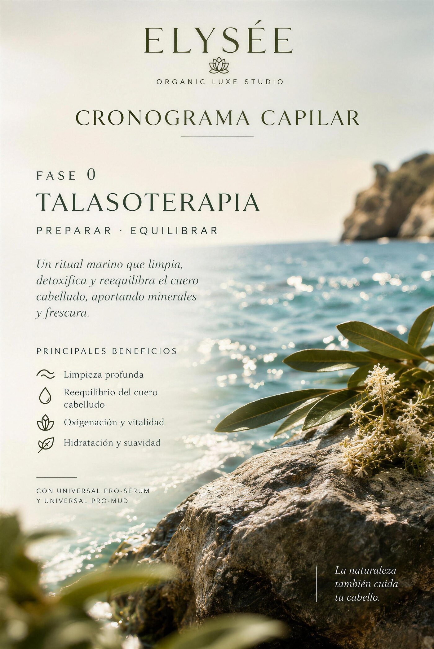 Lámina del Cronograma Capilar de ELYSÉE, Fase 0: talasoterapia