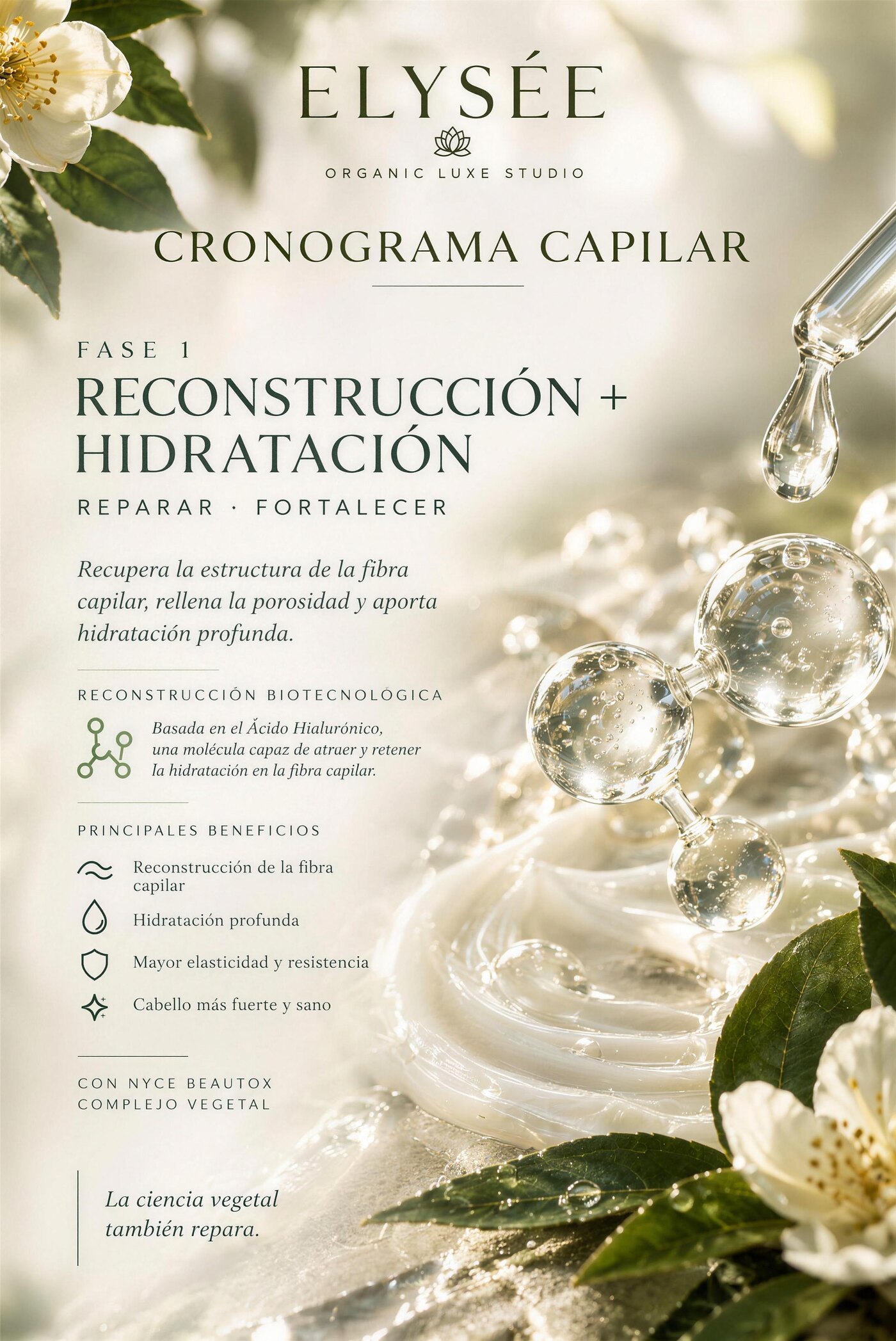 Lámina del Cronograma Capilar de ELYSÉE, Fase 1: reconstrucción e hidratación